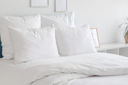 Punaise de lit à Carqueiranne : pourquoi faire appel à un expert plutôt que de tenter de résoudre seul ?